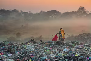 Scavenging for living